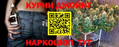 крисы Бузулук