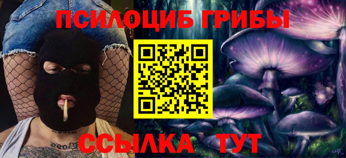 Сыктывкар  Псилоцибиновые грибы прущие грибы  как найти закладки  Галлюциногенные грибы ЛСД  Вход с VPN 
